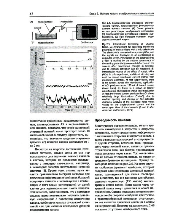 От нейрона к мозгу. 6-е изд