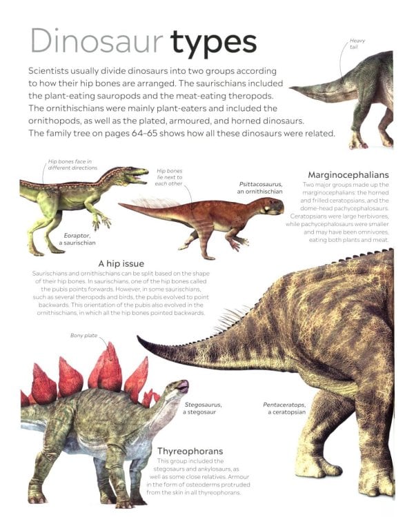 Eyewitness - Dinosaur