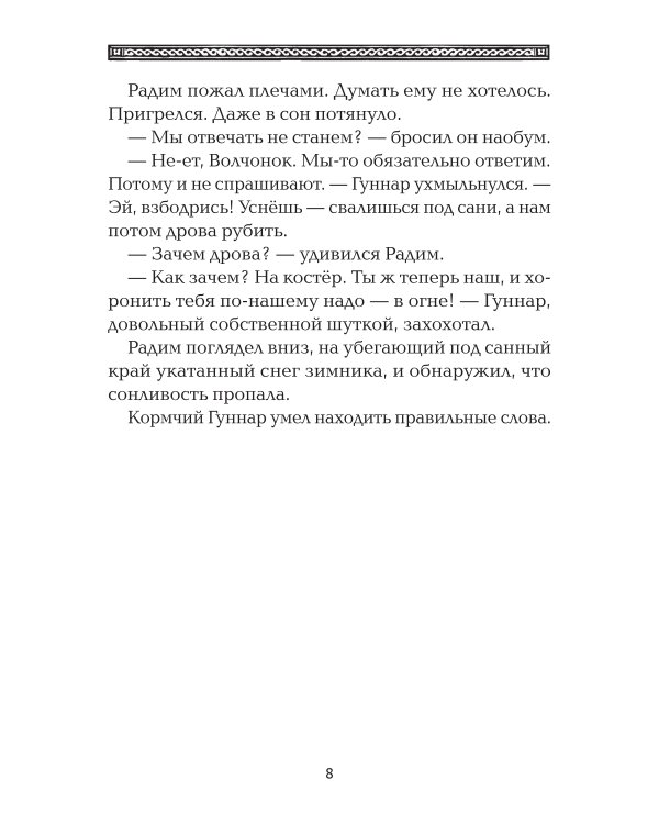 Полет сокола: рубеж