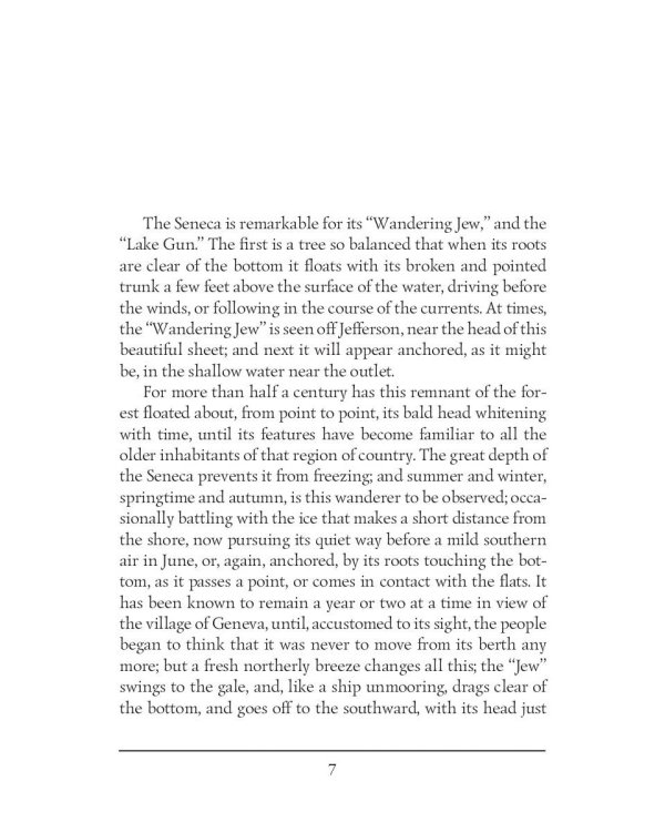 The Lake Gun and Other Stories = Озерное ружье и другие истории: на англ.яз