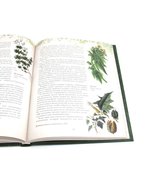 Дары русского леса. Грибы, ягоды и целебные растения