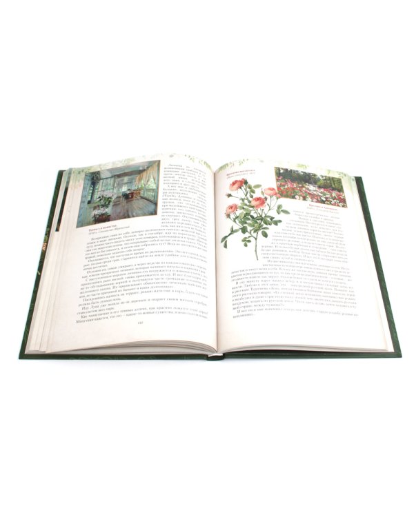 Дары русского леса. Грибы, ягоды и целебные растения