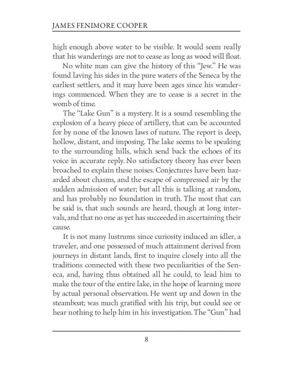 The Lake Gun and Other Stories = Озерное ружье и другие истории: на англ.яз