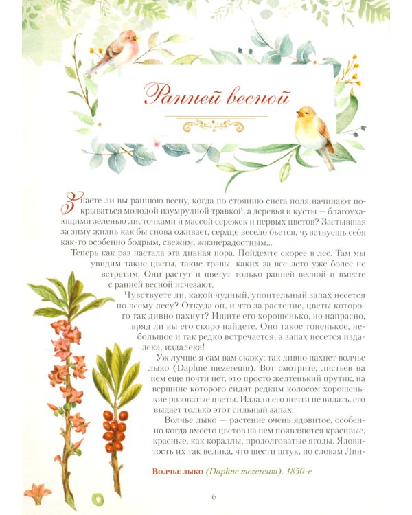 Дары русского леса. Грибы, ягоды и целебные растения