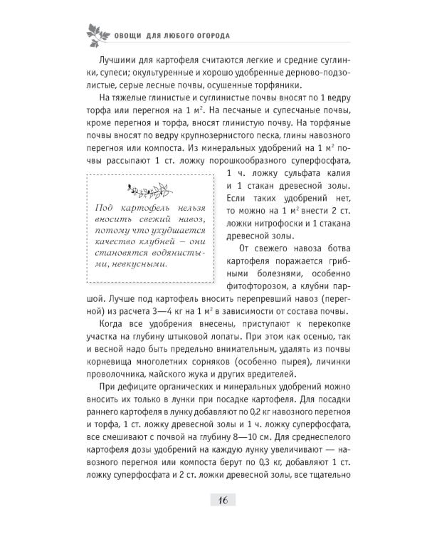 Секреты огородника: как получить богатый урожай овощей и зелени на вашем участке