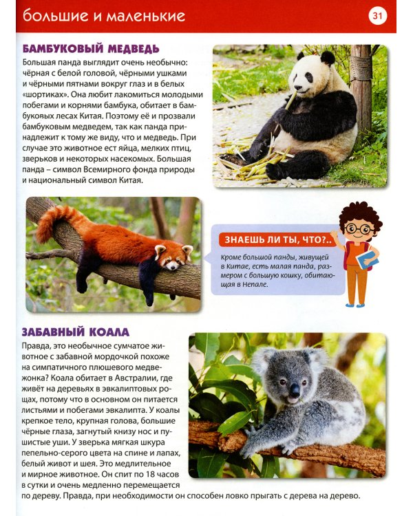 Первая энциклопедия для детей от 6 до 9 лет