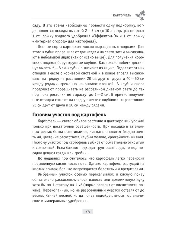 Секреты огородника: как получить богатый урожай овощей и зелени на вашем участке