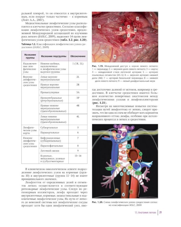 Практическое руководство по торакальной хирургии