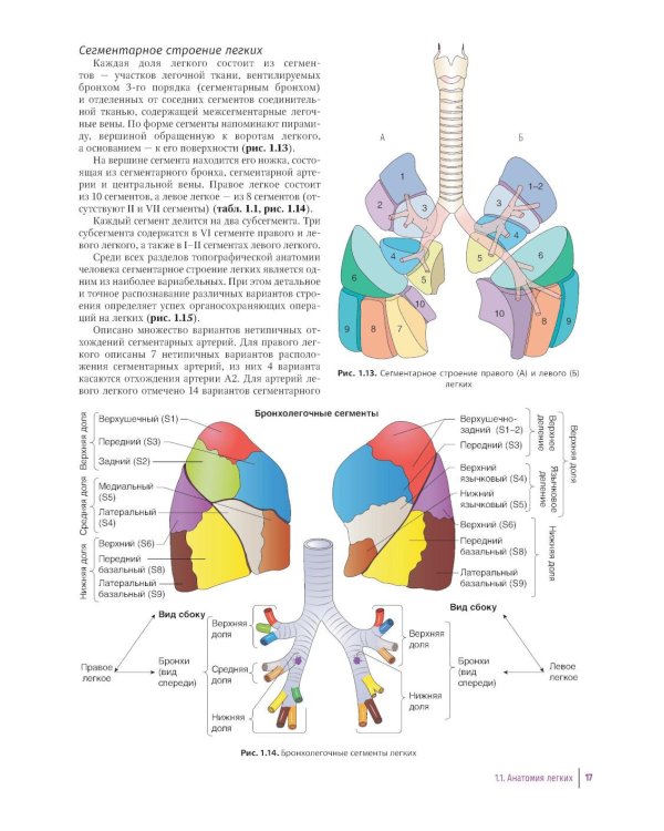 Практическое руководство по торакальной хирургии