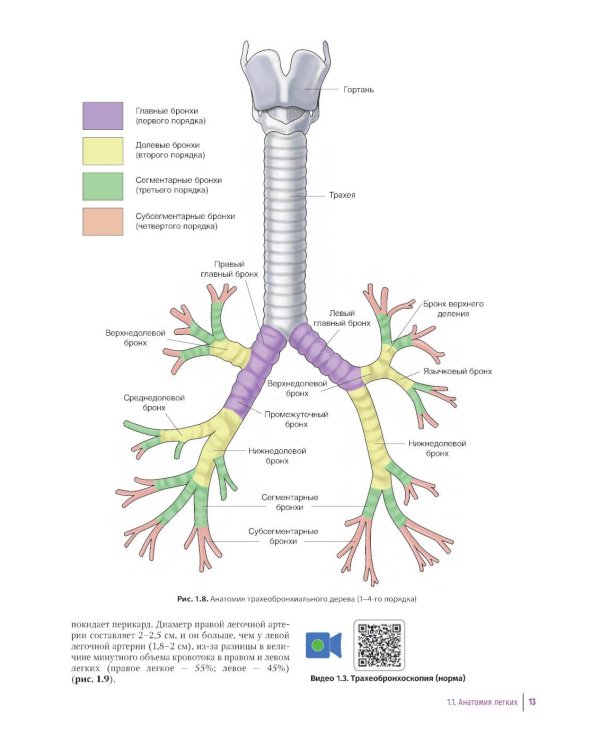 Практическое руководство по торакальной хирургии