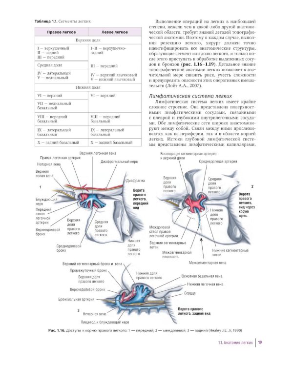 Практическое руководство по торакальной хирургии
