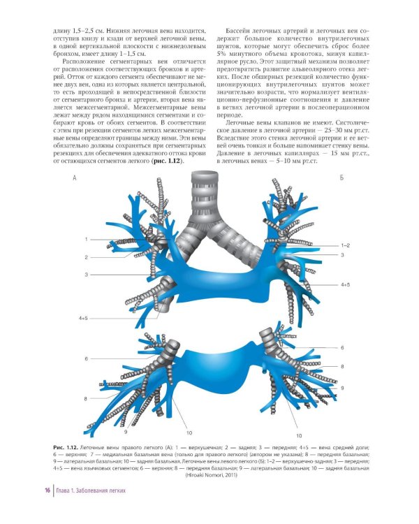 Практическое руководство по торакальной хирургии