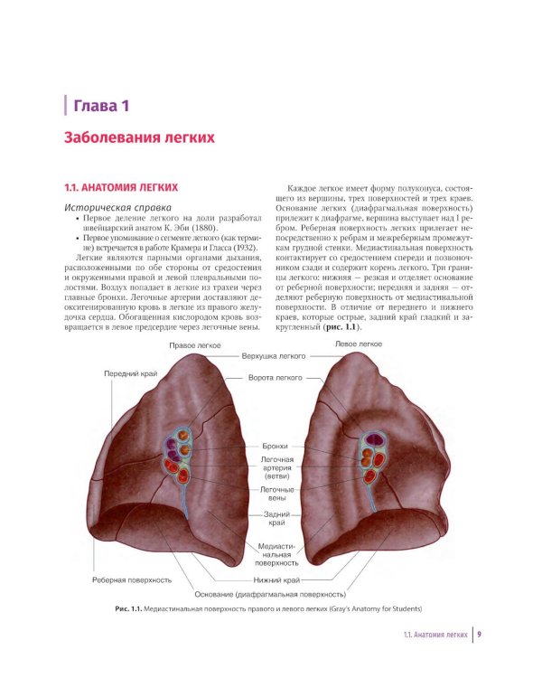 Практическое руководство по торакальной хирургии