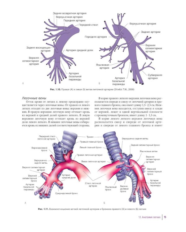 Практическое руководство по торакальной хирургии