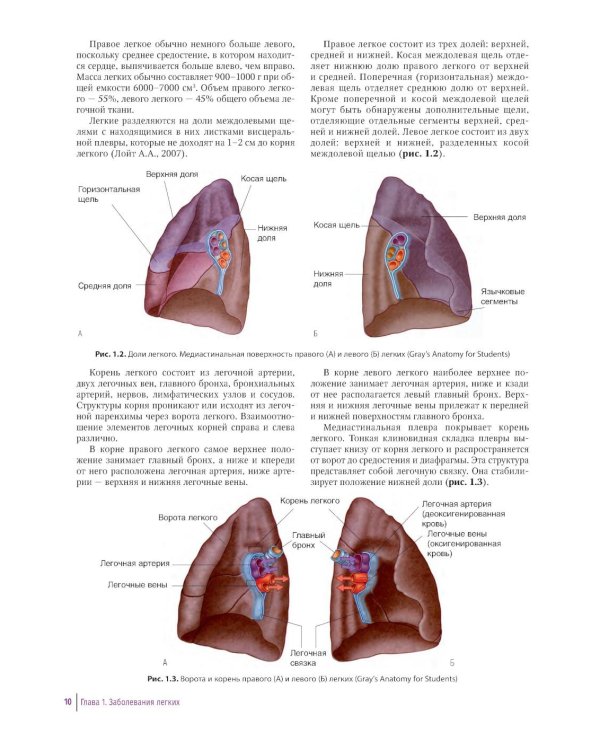 Практическое руководство по торакальной хирургии