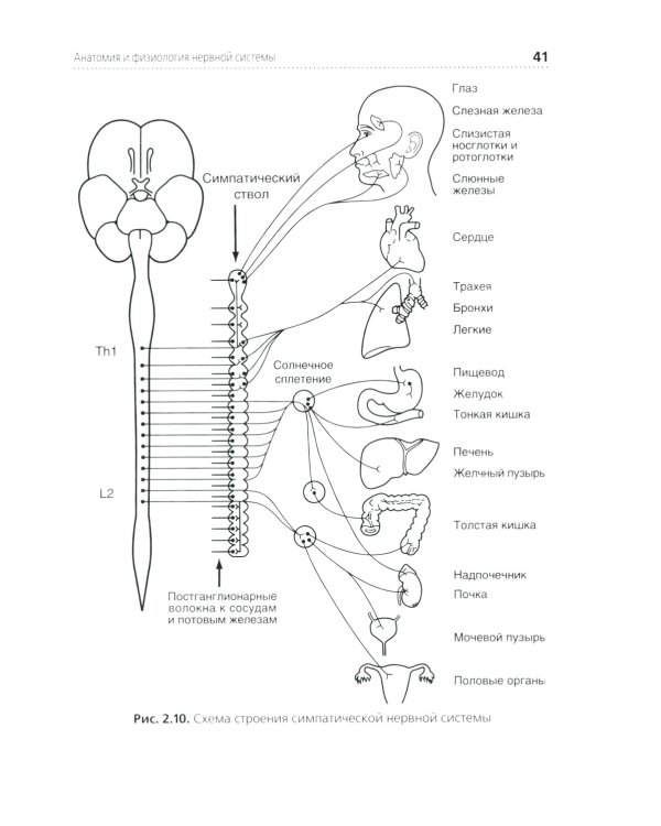 Сестринская помощь при заболеваниях нервной системы: Учебник