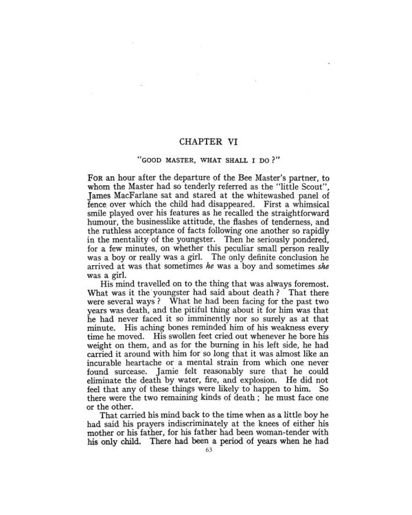 The Keeper of the Bees