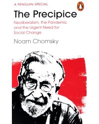 The Precipice - Neoliberalism, The Pandemic & The Urgent Need For Radical Change