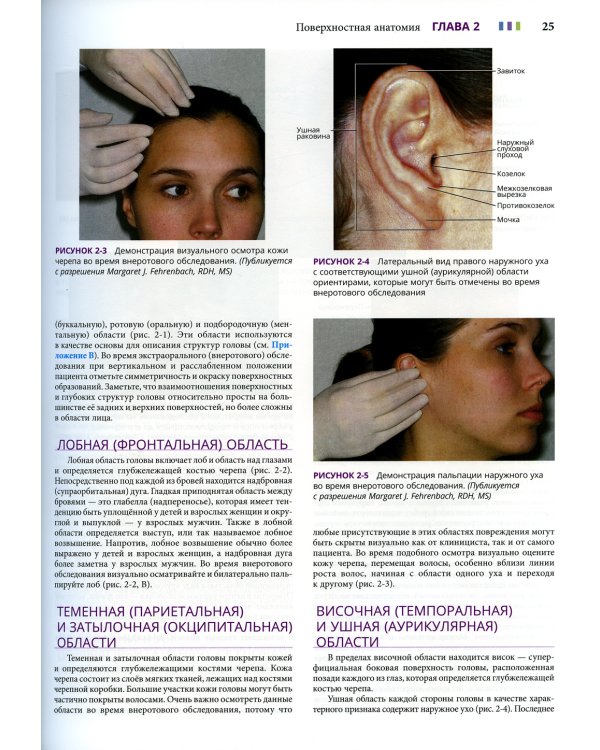 Иллюстрированная анатомия головы и шеи. 5-е изд