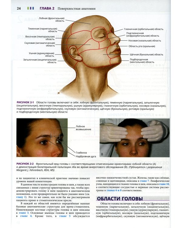 Иллюстрированная анатомия головы и шеи. 5-е изд