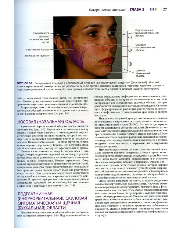 Иллюстрированная анатомия головы и шеи. 5-е изд