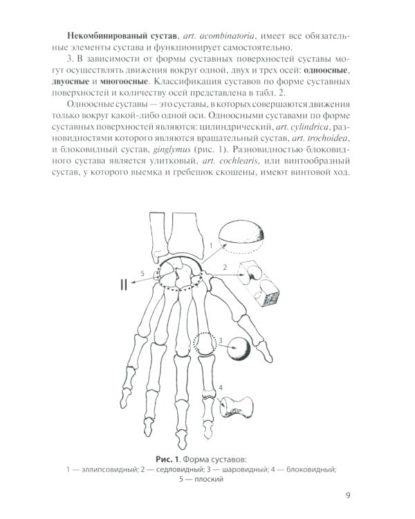 Анатомия соединений костей: Учебное пособие. 14-е изд., перераб. и доп