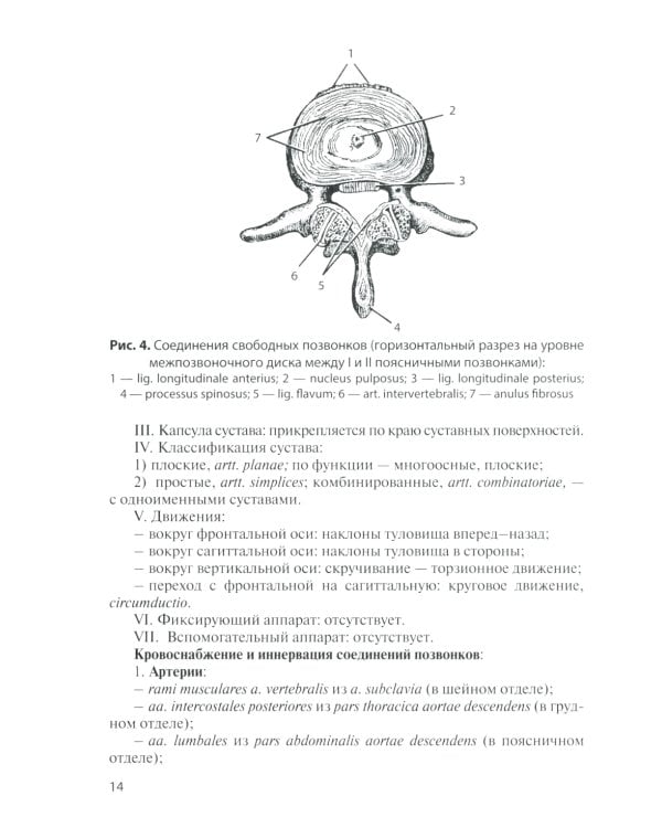 Анатомия соединений костей: Учебное пособие. 14-е изд., перераб. и доп