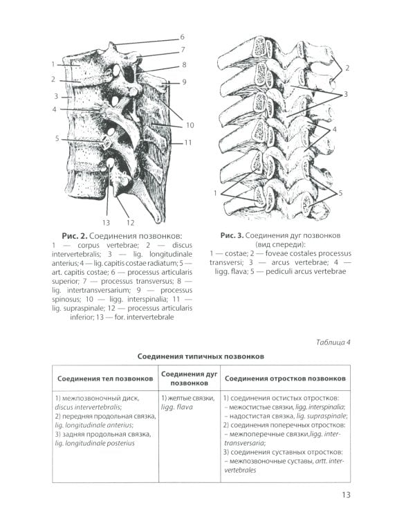 Анатомия соединений костей: Учебное пособие. 14-е изд., перераб. и доп