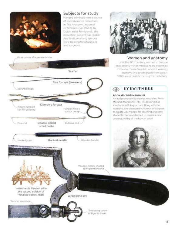 Eyewitness - Human Body