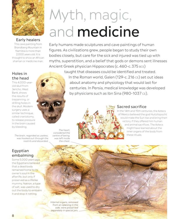 Eyewitness - Human Body