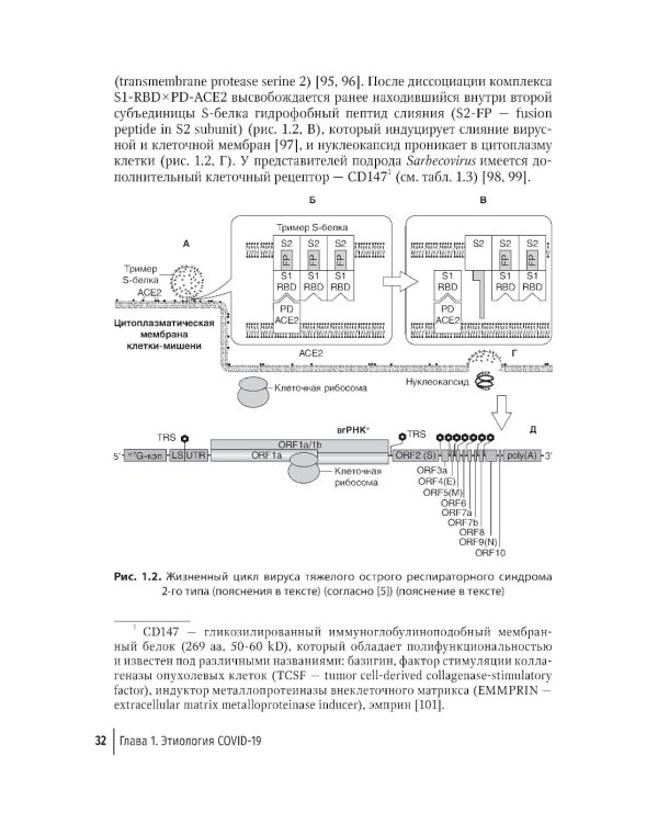 COVID-19: от этиологии до вакцинопрофилактики: руководство для врачей