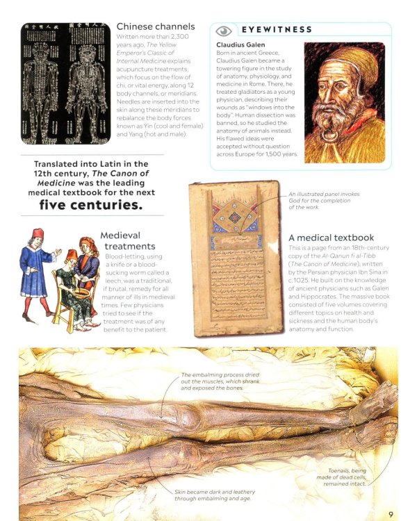 Eyewitness - Human Body