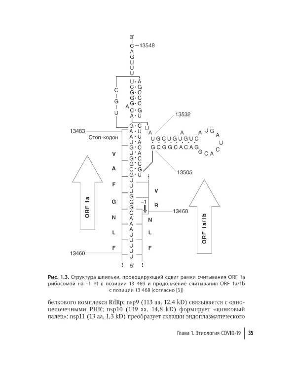 COVID-19: от этиологии до вакцинопрофилактики: руководство для врачей