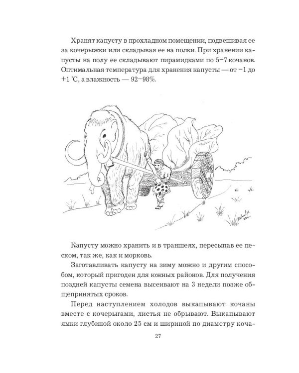 Огород-кормилец