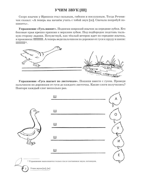 Учим звуки [р], [р’], [ш], [ж]. Домашняя логопедическая тетрадь для детей 5-7 лет (комплект из 2-х книг)