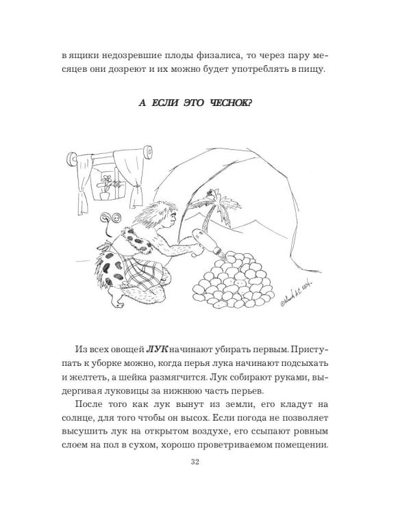 Огород-кормилец