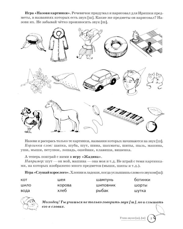 Учим звуки [р], [р’], [ш], [ж]. Домашняя логопедическая тетрадь для детей 5-7 лет (комплект из 2-х книг)