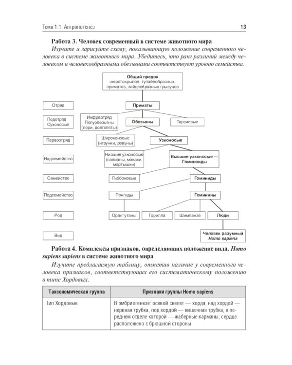 Антропология. Биология человека: Учебное пособие