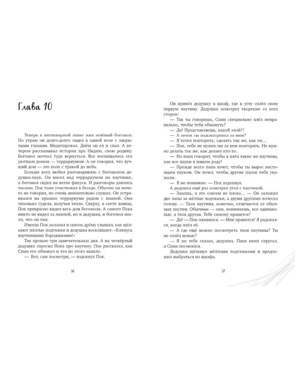 Паучок Пок. Секрет серебряной паутины