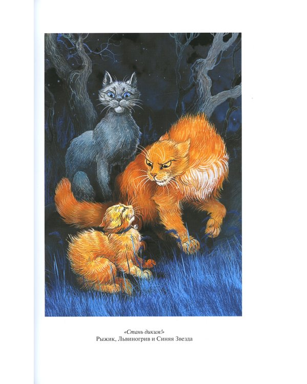 Коты-воители. Стань диким! Огонь и лед