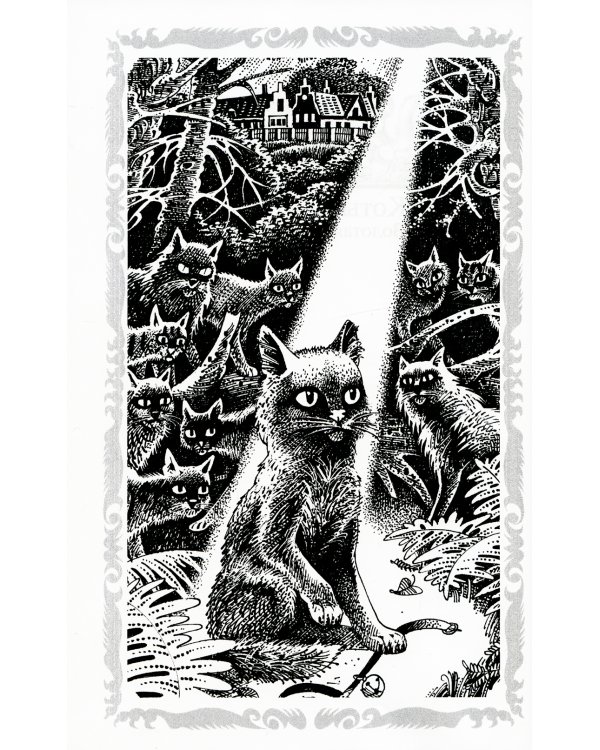 Коты-воители. Стань диким! Огонь и лед