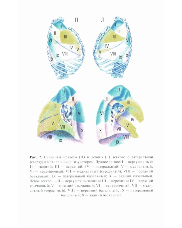 Сестринский уход во фтизиатрии: Учебник. 2-е изд. перераб. и доп