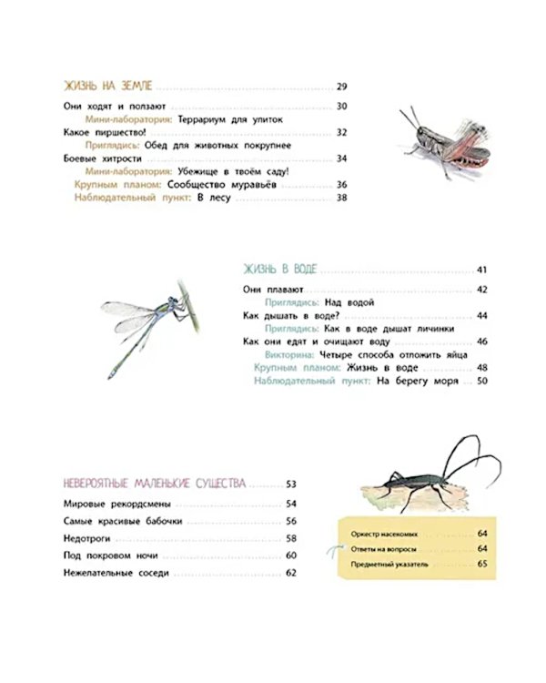 Насекомые и другие маленькие животные