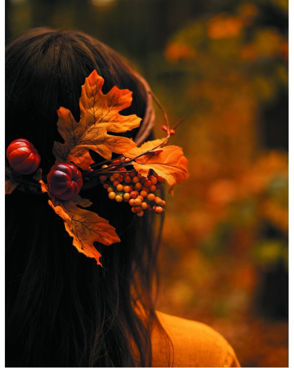 Женственна от природы. Книга гармонии в душе и в доме. Стильный декор, вкусная еда и много лесной красоты