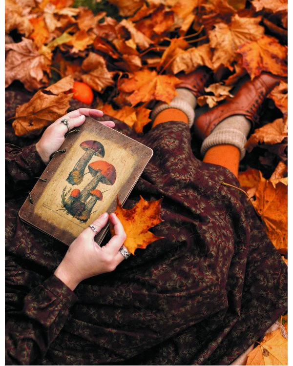 Женственна от природы. Книга гармонии в душе и в доме. Стильный декор, вкусная еда и много лесной красоты