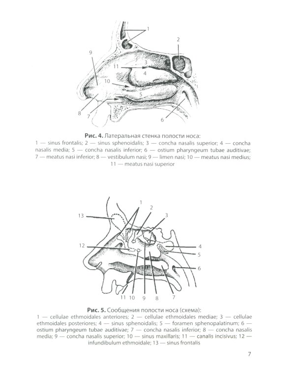 Анатомия дыхательной системы и сердца: Учебное пособие. 16-е изд., перераб. и испр