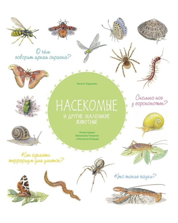 Насекомые и другие маленькие животные