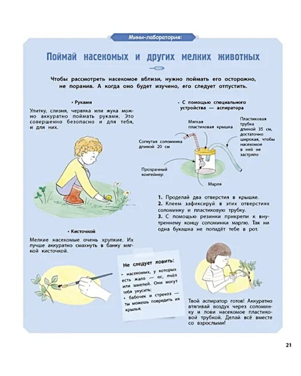 Насекомые и другие маленькие животные