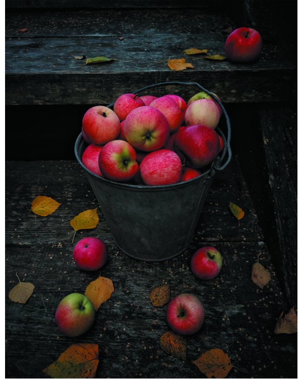 Женственна от природы. Книга гармонии в душе и в доме. Стильный декор, вкусная еда и много лесной красоты