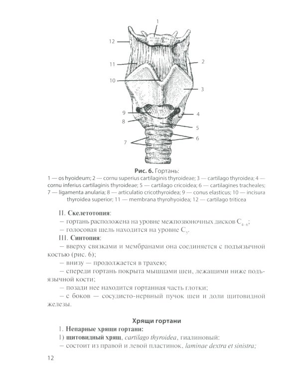 Анатомия дыхательной системы и сердца: Учебное пособие. 16-е изд., перераб. и испр